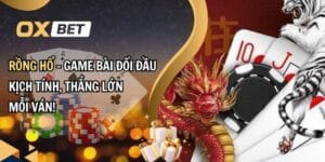 rồng hổ oxbet