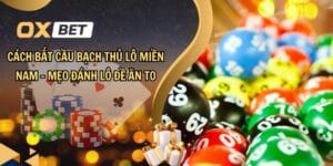 Cách bắt cầu bạch thủ lô miền Nam - Mẹo đánh lô đề ăn to